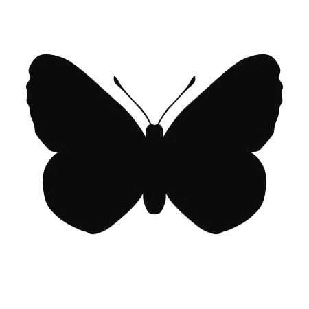 motyl 21 szablon malarski - Deco Strefa