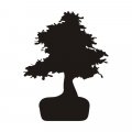 042 bonsai naklejka samoprzylepna tablicowa