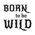 Born to be wild 1707 szablon malarski
