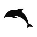 Delfin 812 szablon malarski