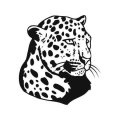 Jaguar 809 szablon malarski