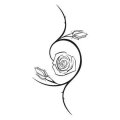 Kwiat róży 1803 naklejka samoprzylepna