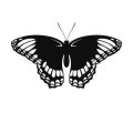 Motyl 10 szablon malarski