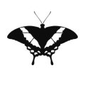 Motyl 11 szablon malarski