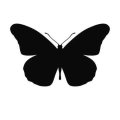 Motyl 15 szablon malarski