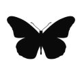 Motyl 15 szablon malarski