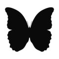 Motyl 17 naklejka samoprzylepna
