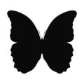 Motyl 17 szablon malarski