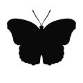 Motyl 19 szablon malarski