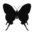 Motyl 20 szablon malarski