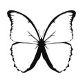 Motyl 5 szablon malarski