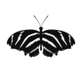 Motyl 6 szablon malarski