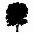 Naklejka samoprzylepna tablicowa kredowa dla dzieci drzewo 3tk02