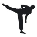 Szablon malarski karate kyokushin 18sm53