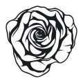 Szablon malarski kwiat róży 20sm43