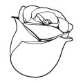 Szablon malarski name kwiat róży 20sm80