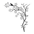 Szablon malarski ptak na drzewie 21sm15