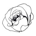 Szablon malarski róża 20sm79