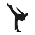 Szablon malarski sztuki walki karate 18sm61