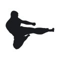 Szablon malarski sztuki walki karate budo 18sm55