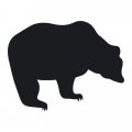 Niedźwiedź 138 naklejka samoprzylepna tablicowa