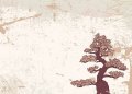 Tablica suchościeralna drukowana 085 drzewo bonsai